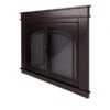 Pleasant Hearth Fenwick Oil-Rubbed Bronze Medium Cabinet-style Smoked Tempered Glass Fireplace Doors