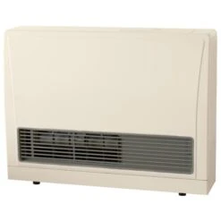 Rinnai 21,500-BTU Indoor Electric Start Natural Gas Heater - White